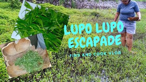 porno lupoo|lupe Search